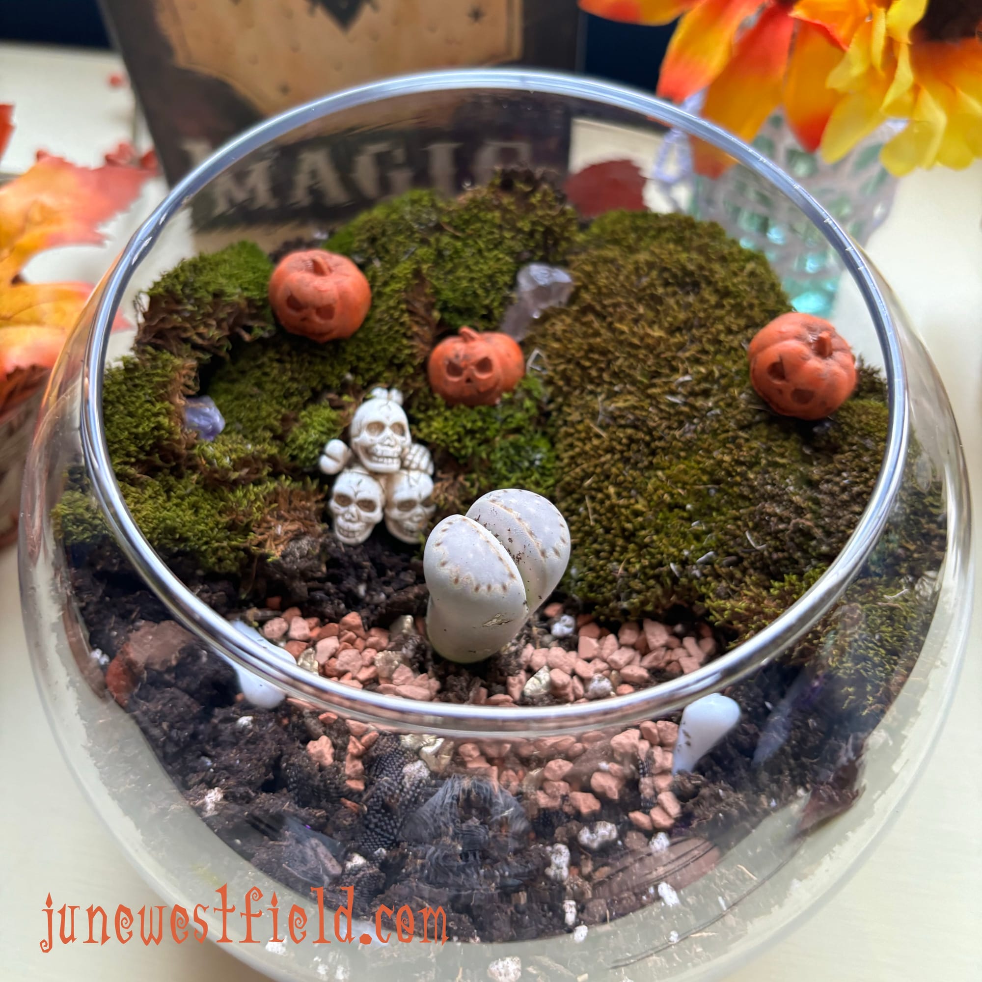 A glass plant holder filled with dirt and moss, and decorated with mini pumpkins, crystals, and skulls